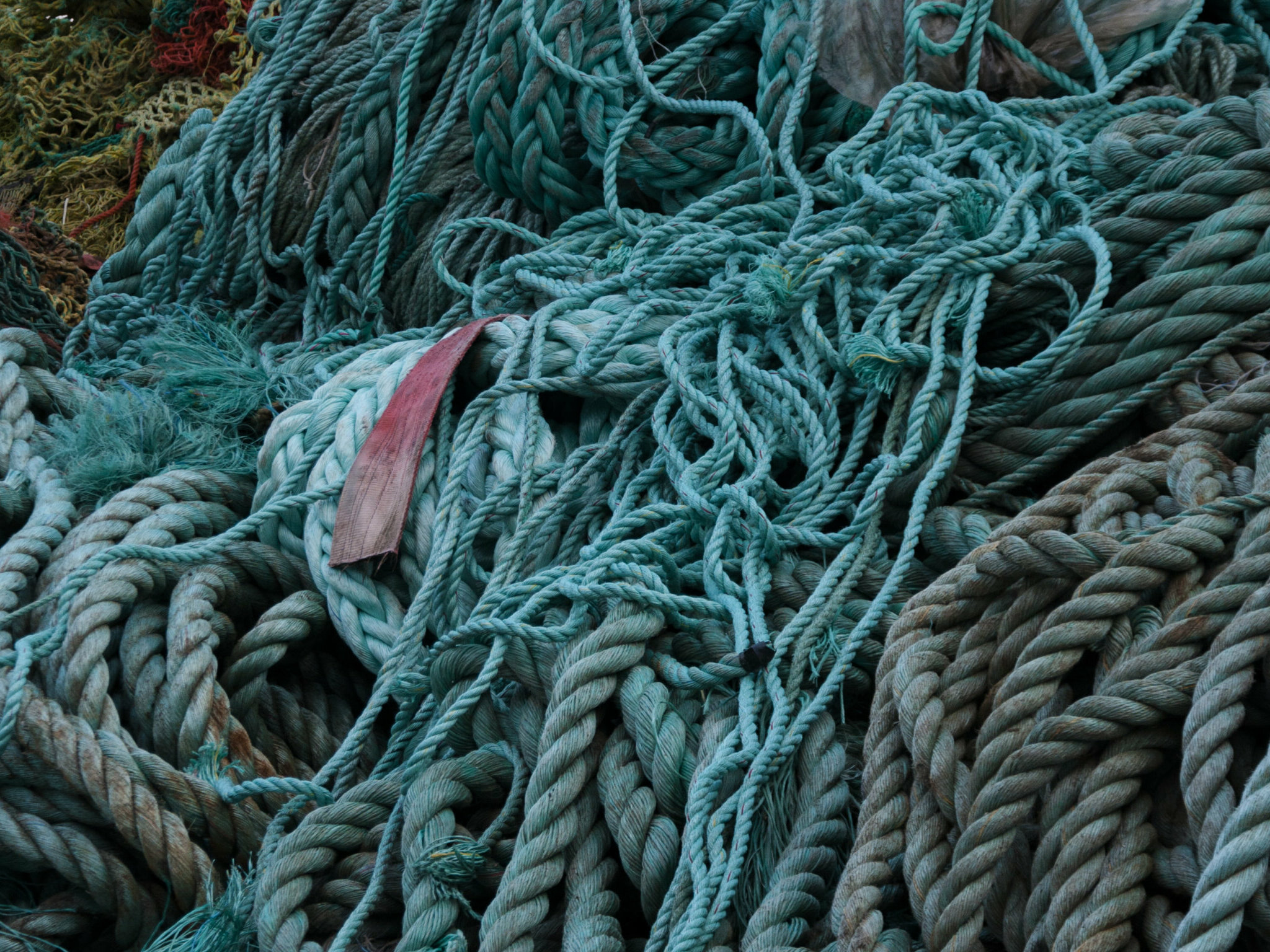 Sea Plastics_Net_Ropes Old discarded trawls